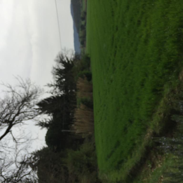 Azienda Agrituristica I Tre Casali Magione Ngoại thất bức ảnh