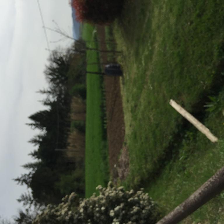 Azienda Agrituristica I Tre Casali Magione Ngoại thất bức ảnh