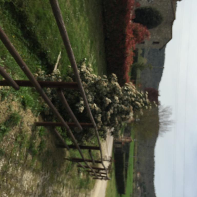 Azienda Agrituristica I Tre Casali Magione Ngoại thất bức ảnh